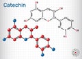 Catechin, Epicatechin, flavonoid, C15H14O6 molecule. It is flavanol, a type of natural phenol and antioxidant. Structural chemical