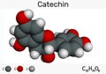 Catechin, flavonoid, C15H14O6 molecule. It is flavanol, a type of natural phenol and antioxidant. Molecular model
