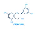 Catechin formula. Icon with green catechin formula Royalty Free Stock Photo