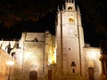 Catedral de San Antolin, Palencia ( Spain ) Royalty Free Stock Photo