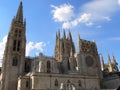 Catedral de Santa Maria, Burgos ( Spain )