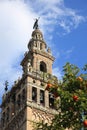 Catedral & La Giralda, Sevilla