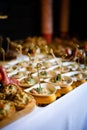 catering, buffet. table setting with appetizer Royalty Free Stock Photo