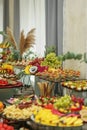 Catering buffet table with snacks and appetizers. Set of varios fruits and berries. Decorative vase Royalty Free Stock Photo