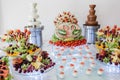 Catering buffet wedding event Royalty Free Stock Photo