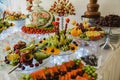 Catering buffet wedding event Royalty Free Stock Photo