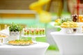 Catering, delicious new welcome canapes of bright color on a skewer