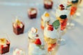 Catering food wedding buffet Royalty Free Stock Photo