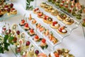 Catering. Off-site food. Buffet table with various canapes, sandwiches, hamburgers and snacks Royalty Free Stock Photo