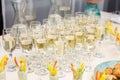 Catering service food and champagne Royalty Free Stock Photo