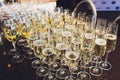 catering services. glasses with wine in row background at restaurant party. Royalty Free Stock Photo