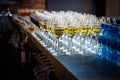 Catering services. glasses with wine in row background at restaurant party Royalty Free Stock Photo