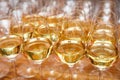 catering services. glasses with wine in row background at restaurant party Royalty Free Stock Photo