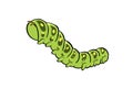 Caterpillar animal head cartoon wildlife face character art