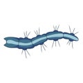 Caterpillar blue insect icon, nature and entomology