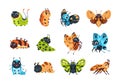 Caterpillar and butterfly. Cartoon bugs character with funny faces and smily emotions. Happy insect mascots poses