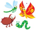 Caterpillar, butterfly, dragonfly and beetle