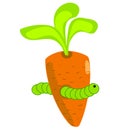 The caterpillar in the carrot