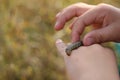 a caterpillar on a child hand. diverse environment, love and interest in nature