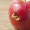 A caterpillar climbs out of a hole in a red apple Royalty Free Stock Photo