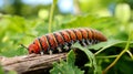 A caterpillar crawling on a plant stem