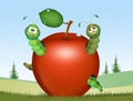 Caterpillar eat apple Royalty Free Stock Photo