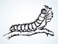 The caterpillar eats a leaf. Vector drawing