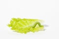 Caterpillar on a green salad leaf Royalty Free Stock Photo