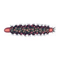 Caterpillar icon, larva of a butterfly or moth