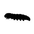 Caterpillar insect black silhouette animal Royalty Free Stock Photo