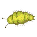 Caterpillar insect icon, green nature and entomology Royalty Free Stock Photo