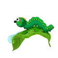 Caterpillar on leaf isolated on white background. Cute cartoon caterpillar crawling on leaf with dew drop.