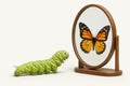 A caterpillar looking in a mirror and seeing a butterfly. Space for text. Royalty Free Stock Photo