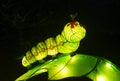 Caterpillar made from paper and lights