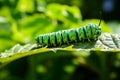 Caterpillar munching on vibrant green leaf, showcasing details of its tiny mandibles and colorful body. Generative AI Royalty Free Stock Photo