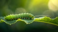 Caterpillar sliding on the branch with green background. Royalty Free Stock Photo