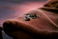 The caterpillar on a textile material, detail, close up Royalty Free Stock Photo