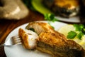Catfish roasted in batter Royalty Free Stock Photo