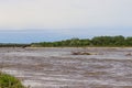 Catfish with Set line fishing alone the Niobrara River in Nebraska