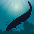 catfish silhouette. Vector illustration decorative design