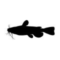 Catfish Siluriformes, Silhouette Style, Found In Freshwater Habitats Around The World Exception Of Antarctica