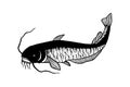 Catfish. Vector stock illustration eps10. Outline, Isolate on a white background.
