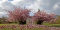 Cathays Park Royalty Free Stock Photo