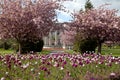 Cathays Park in spring Royalty Free Stock Photo