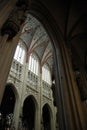 Cathdral Saint Jan Den Bosch Royalty Free Stock Photo