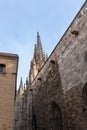 The Cathedral of Barcelona