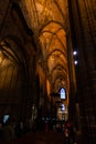 The Cathedral of Barcelona, detail of the lateral nave in typical gothic style with elegant side niches. Barri Gotic, Barcelona
