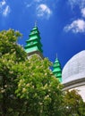 Cathedral belltowers and chesnut tree in blossom Royalty Free Stock Photo