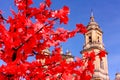 Cathedral of Bogota, Colombia. Focus in red tree.