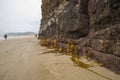 Cathedral Caves on Waipati Beach rise 30 metres above the flat sand Royalty Free Stock Photo